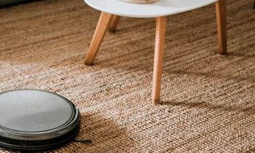 The Advantages and Disadvantages of Robotic Vacuum Cleaners﻿
